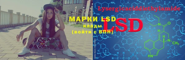 ПСИЛОЦИБИНОВЫЕ ГРИБЫ Алексеевка