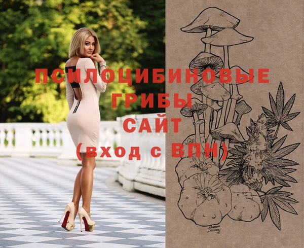 спайс Алексин