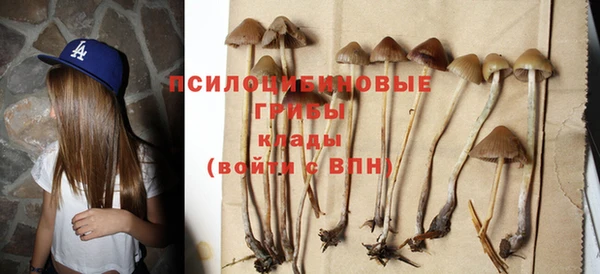а пвп мука Алзамай