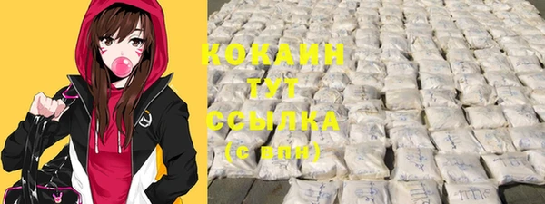 спайс Алексин