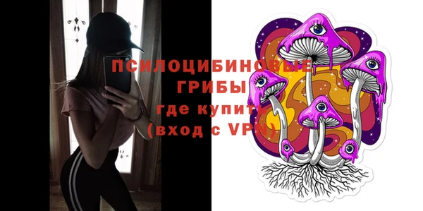 ПСИЛОЦИБИНОВЫЕ ГРИБЫ Алексеевка